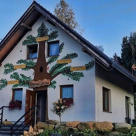 Bukowa Chatka Bukowiec  Экстерьер фото